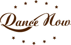 Logo of the Dance Now brand by BLOCH